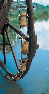 כלי המים של האנטיליה