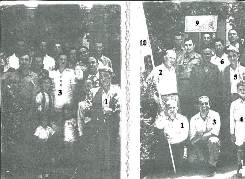 קואופרטיב הצורפים בעכו העתיקה 